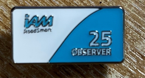 Show details for Observer 25 Pin Badge.